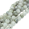 Natural Labradorite Beads Strands G-G828-01-8mm-1