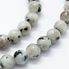 Natural Sesame Jasper/Kiwi Jasper Beads Strands X-G-I199-29-8mm-3