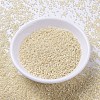 MIYUKI Delica Beads X-SEED-J020-DB1900-2
