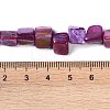Dyed Natural Freshwater Shell Beads Strands SHEL-P016-01D-4
