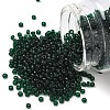 MIYUKI Round Rocailles Beads SEED-X0055-RR0156-1