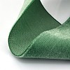 Polyester Velvet Ribbon for Gift Packing and Festival Decoration SRIB-M001-10mm-587-2