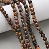 Natural Leopard Skin Jasper Beads Strands G-J358-05-6mm-6