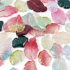 140Pcs 14 Style Transparent Baking Painted Glass Pendants LAMP-TA0001-02-4