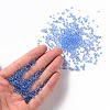 (Repacking Service Available) Glass Seed Beads SEED-C013-3mm-6-4