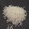 6/0 Transparent Glass Round Seed Beads SEED-J010-F6-21-2