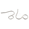 316 Surgical Stainless Steel Earring Hooks STAS-D093-01B-P-2