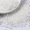 MIYUKI Round Rocailles Beads X-SEED-G008-RR0471-1