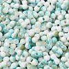 Baking Paint Glass Seed Beads SEED-F005-01A-01-3