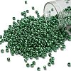 TOHO 8/0 Round Beads SEED-TR08-0130D-1