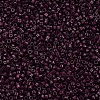 Glass Cylinder Beads SEED-S047-A-042-3