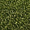 8/0 Glass Seed Beads X2-SEED-A005-3mm-24-2