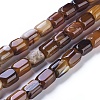 Natural Agate Beads Strands G-L542-B07-1
