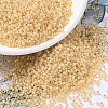 MIYUKI Round Rocailles Beads SEED-X0054-RR0552-1
