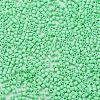 Baking Paint Glass Seed Beads SEED-S042-05B-59-3