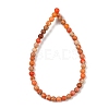 Dyed Natural Regalite/Imperial Jasper/Sea Sediment Jasper Beads Strands G-B124-C04-15-3
