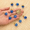10Pcs Apple Gemstone Charm Pendant Crystal Quartz Healing Natural Stone Pendants Opal Buckle for Jewelry Necklace Earring Making Crafts JX526D-1