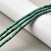 Natural Howlite Beads Strands G-F791-A01-1