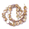 Freshwater Shell Beads Strands X-SHEL-S274-52C-2