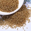 MIYUKI Delica Beads X-SEED-J020-DB1201-1