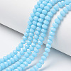 Opaque Solid Color Glass Beads Strands X-EGLA-A034-P4mm-D08-1