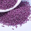 MIYUKI Delica Beads X-SEED-J020-DB1015-1