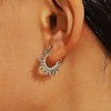 304 Stainless Steel and Brass Hoop Earrings FS-WG82045-28-1