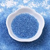 MIYUKI Delica Beads SEED-X0054-DB0113-2