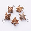 Natural Picture Jasper Pendants G-E398-02C-2