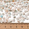 Baking Paint Glass Seed Beads X1-SEED-F006-01A-12-4
