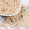 Glass Seed Beads SEED-L011-04A-10-1