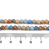 Dyed Natural Regalite/Imperial Jasper/Sea Sediment Jasper Beads Strands G-B124-C04-13-4