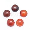 Natural Carnelian Cabochons X-G-P393-R18-10mm-1
