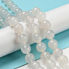 Natural White Agate Beads Strands G-G580-10mm-01-2
