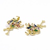 Rack Plating Brass Micro Pave Colorful Cubic Zirconia Charms ZIRC-C041-15G-3