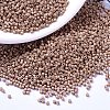 MIYUKI Delica Beads X-SEED-J020-DB1165-1