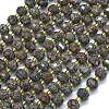 Natural Snowflake Obsidian Beads Strands G-K389-E32-01-1