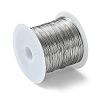 Non-Tarnish 316 Stainless Steel Wire TWIR-L004-01C-P-2