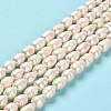 Natural Cultured Freshwater Pearl Beads Strands PEAR-E016-192-2