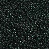 MIYUKI Round Rocailles Beads X-SEED-G008-RR0156-2