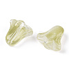 Spray Painted Transparent Glass Beads GLAA-D006-20E-2