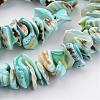 Natural Shell Bead Strands BSHE-P010-04-3