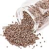 MIYUKI Delica Beads SEED-MY11-DB2504-1