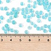 6/0 Luminous Glass Seed Beads SEED-NH0001-01N-5