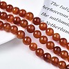 Natural Carnelian Beads Strands G-S259-32-12mm-4