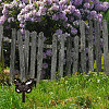 Acrylic Garden Stake AJEW-WH0364-012-5