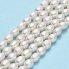 Natural Cultured Freshwater Pearl Beads Strands PEAR-J006-17D-2