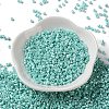 Baking Paint Glass Seed Beads X-SEED-S042-15A-09-2