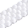 Dyed Natural Selenite Beads Strands G-T138-232A-1
