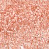 12/0 Transparent Glass Seed Beads SEED-F003-03C-15-3